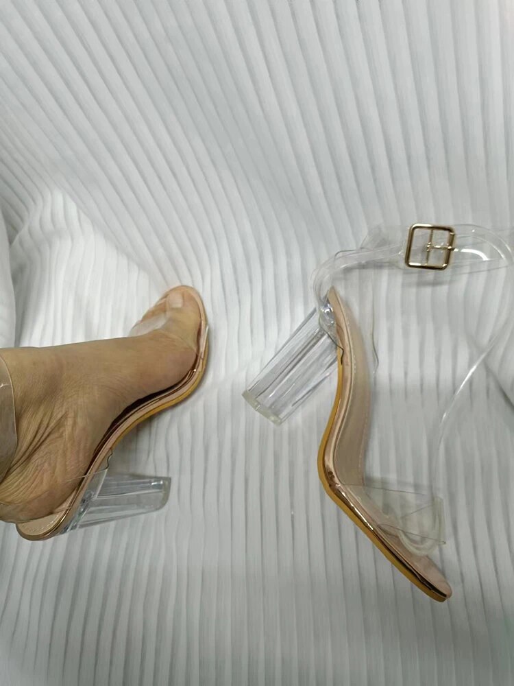 Aneikeh 샴페인 젤리 신발, 여름 파티 웨딩 여성 샌들 디자인, Perspext 하이힐 스퀘어 토 PVC 투명